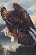 John James Audubon Golden Eagle oil on canvas